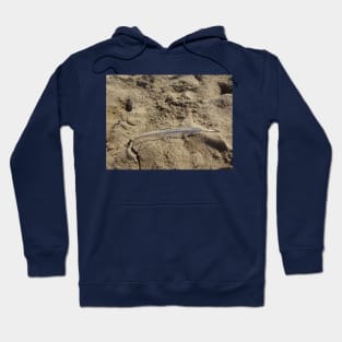 A seagull feather on the sand Hoodie